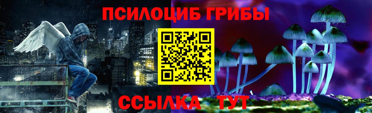 Галлюциногенные грибы прущие грибы Ковров